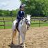 Highland Manor Farm Summer Outreach Show